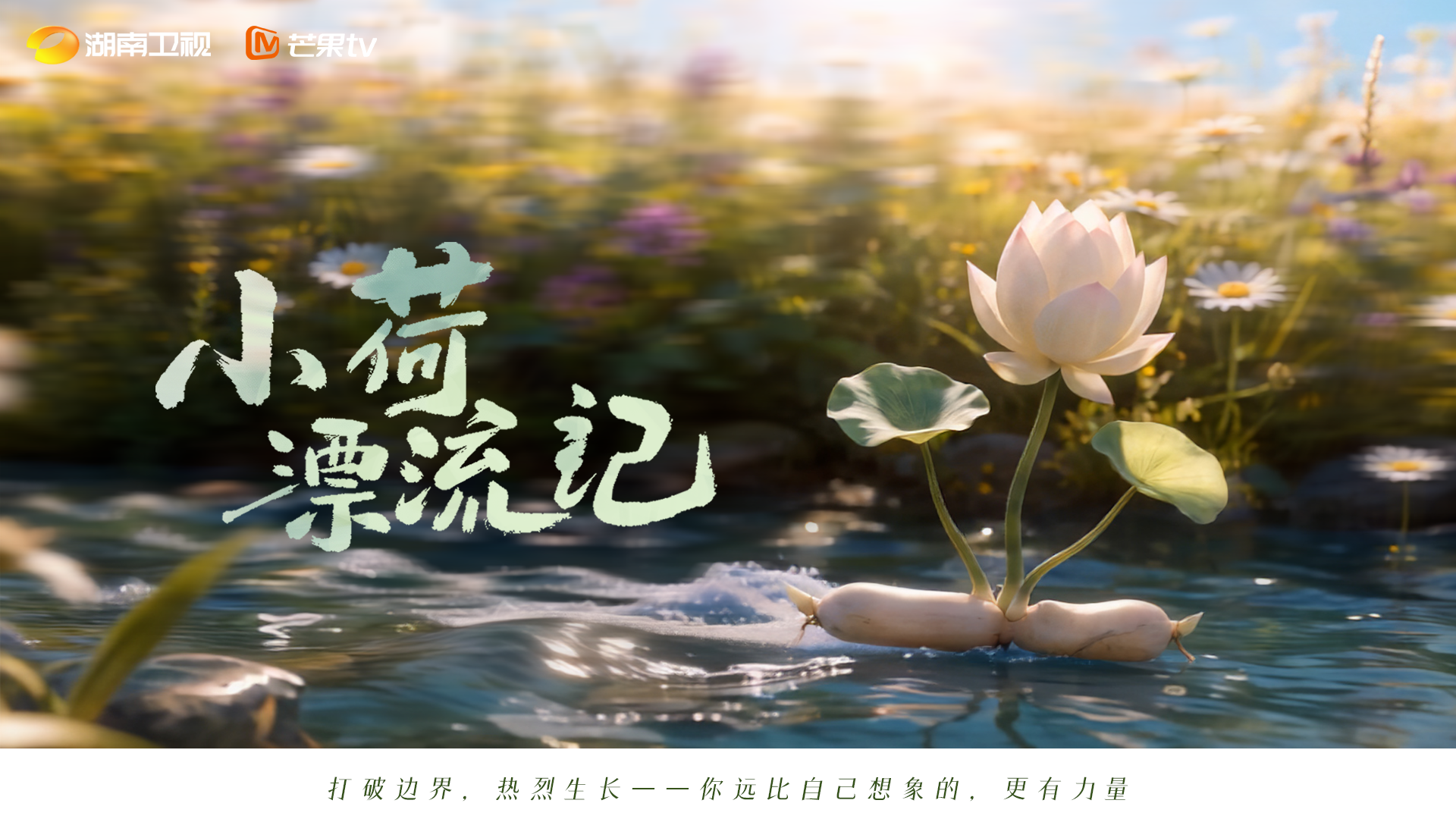 荷花画面与《小荷漂流记》片名,带有湖南卫视、芒果TV标识